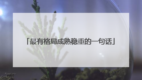 最有格局成熟稳重的一句话