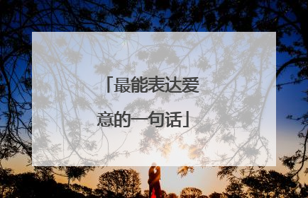 最能表达爱意的一句话