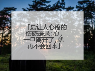 最让人心疼的伤感语录:心,一旦离开了,就再不会回来