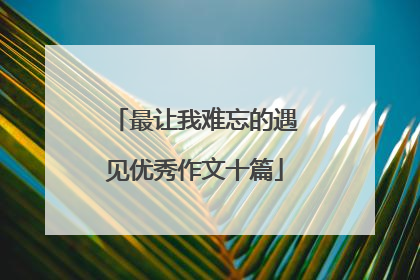 最让我难忘的遇见优秀作文十篇