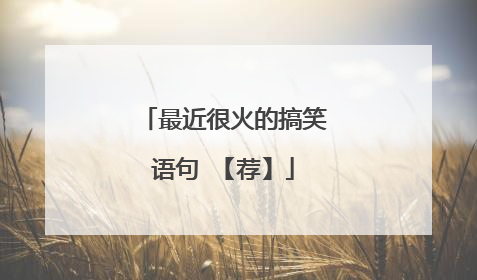最近很火的搞笑语句 【荐】
