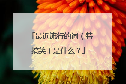 最近流行的词（特搞笑）是什么？