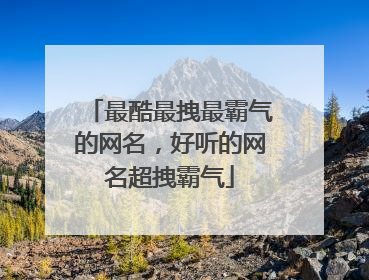 最酷最拽最霸气的网名,好听的网名超拽霸气