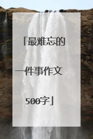 最难忘的一件事作文500字