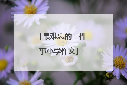 最难忘的一件事小学作文