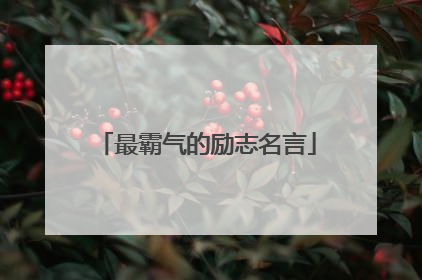最霸气的励志名言