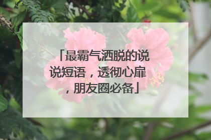 最霸气洒脱的说说短语，透彻心扉，朋友圈必备