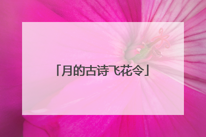 月的古诗飞花令