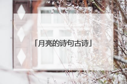 月亮的诗句古诗