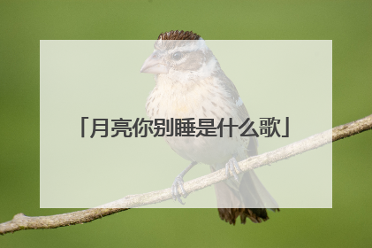 月亮你别睡是什么歌