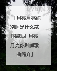 月亮月亮你别睡是什么歌的歌词 月亮月亮你别睡歌曲简介