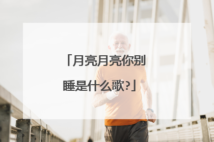 月亮月亮你别睡是什么歌?