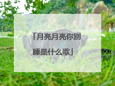 月亮月亮你别睡是什么歌
