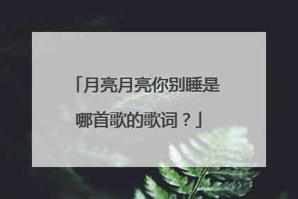 月亮月亮你别睡是哪首歌的歌词?