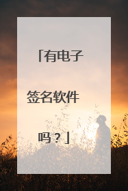 有电子签名软件吗?