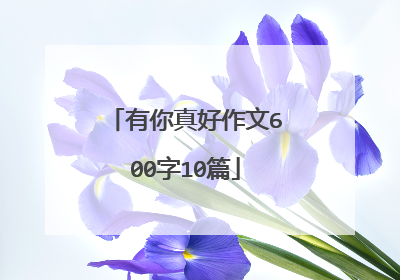 有你真好作文600字10篇