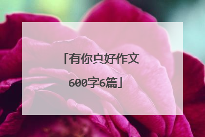 有你真好作文600字6篇