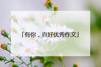 有你,真好优秀作文