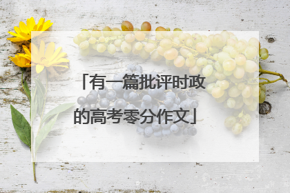 有一篇批评时政的高考零分作文