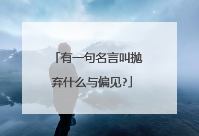 有一句名言叫抛弃什么与偏见?