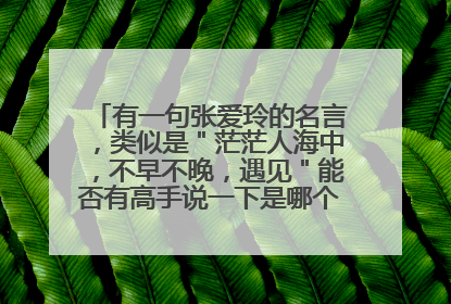 有一句张爱玲的名言，类似是＂茫茫人海中，不早不晚，遇见＂能否有高手说一下是哪个名言，要整句的。谢