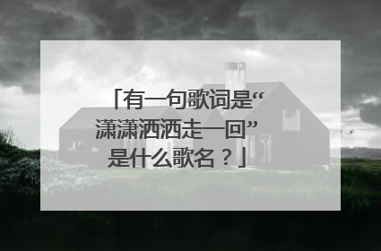 有一句歌词是“潇潇洒洒走一回”是什么歌名？