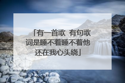 有一首歌 有句歌词是睡不着睡不着他还在我心头绕