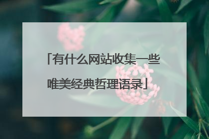 有什么网站收集一些唯美经典哲理语录