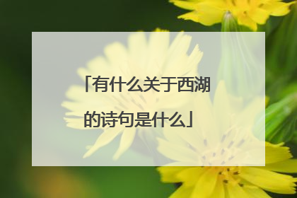 有什么关于西湖的诗句是什么