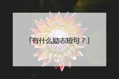 有什么励志短句？