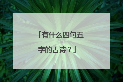 有什么四句五字的古诗？