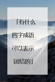 有什么四字成语可以表示团结的
