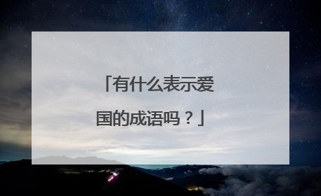 有什么表示爱国的成语吗？