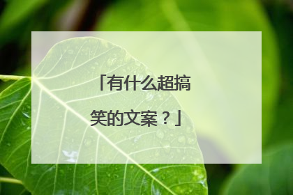 有什么超搞笑的文案？