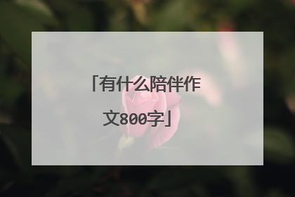 有什么陪伴作文800字