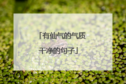 有仙气的气质干净的句子