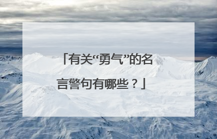 有关“勇气”的名言警句有哪些？