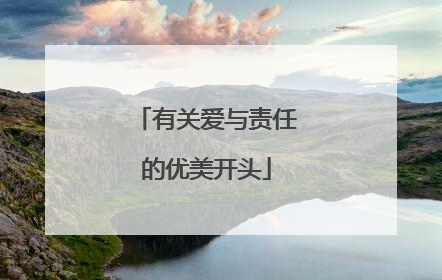 有关爱与责任的优美开头