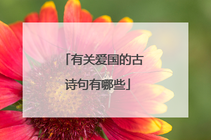有关爱国的古诗句有哪些