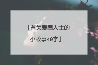 有关爱国人士的小故事40字