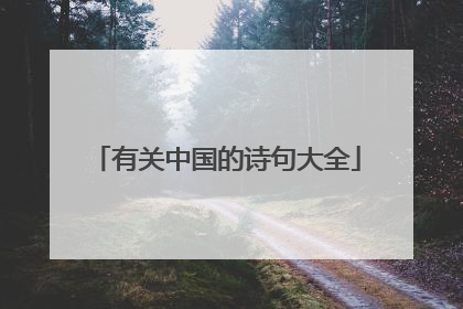 有关中国的诗句大全