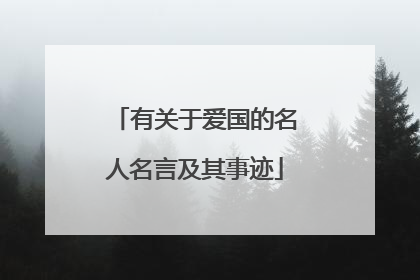 有关于爱国的名人名言及其事迹