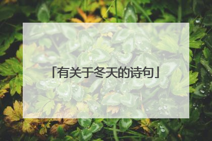 有关于冬天的诗句