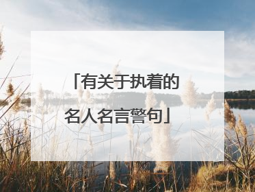 有关于执着的名人名言警句