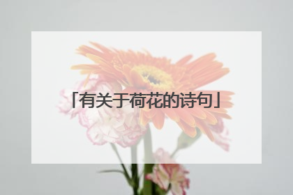 有关于荷花的诗句