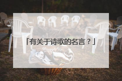 有关于诗歌的名言？