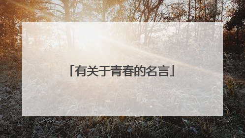 有关于青春的名言