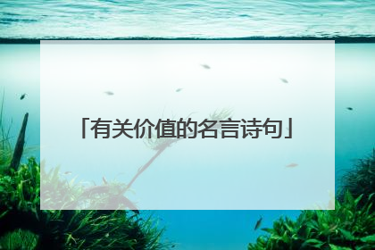 有关价值的名言诗句