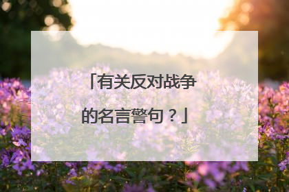 有关反对战争的名言警句?
