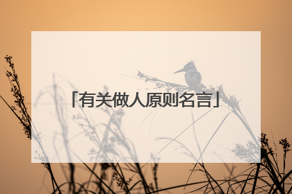 有关做人原则名言